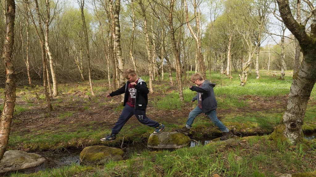 Store Vildmose Hochmoor