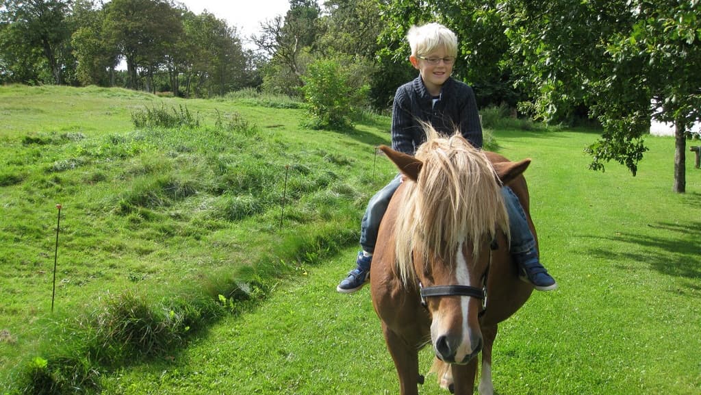 Lyngbjerggaard B&B/Ferienwohnungen