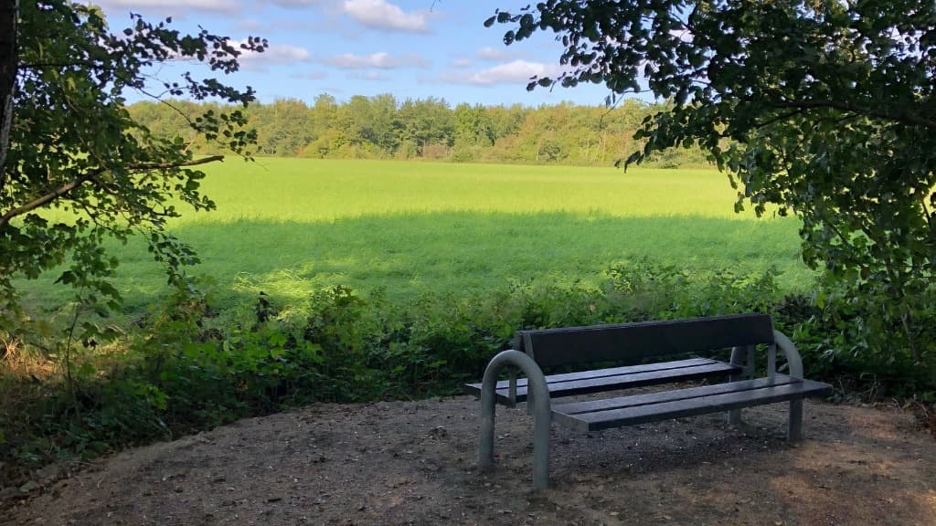 Knivholt Skov og Teglværksskoven