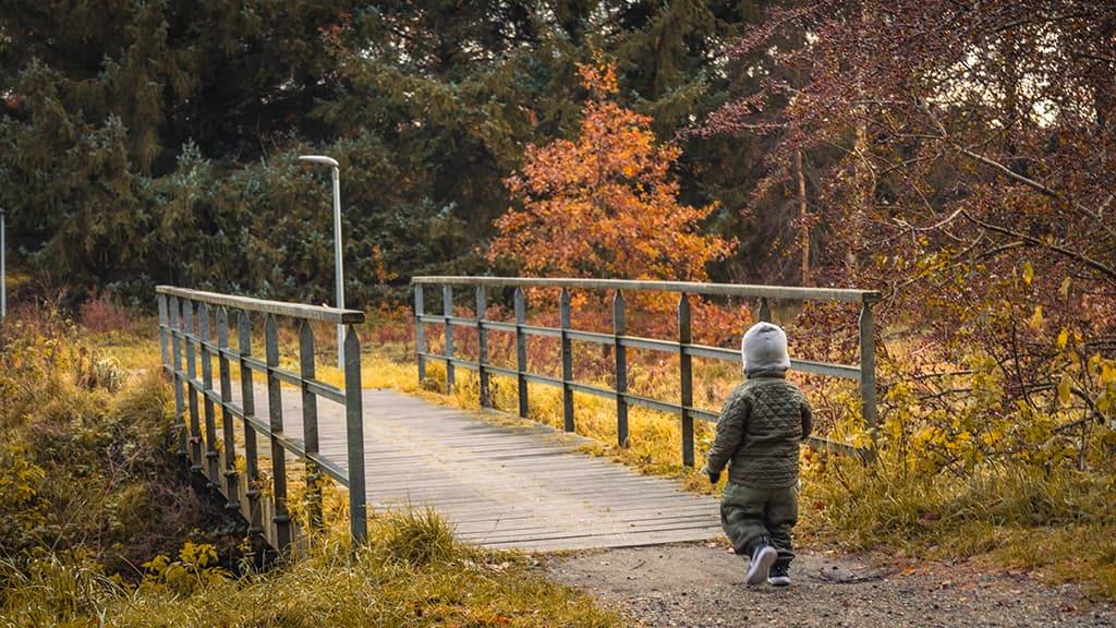 Oplevelser i Aars – opdag byens herligheder