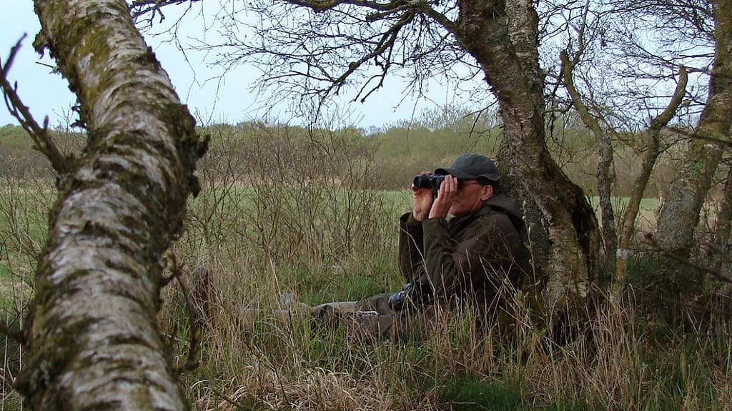 Store Vildmose Hochmoor