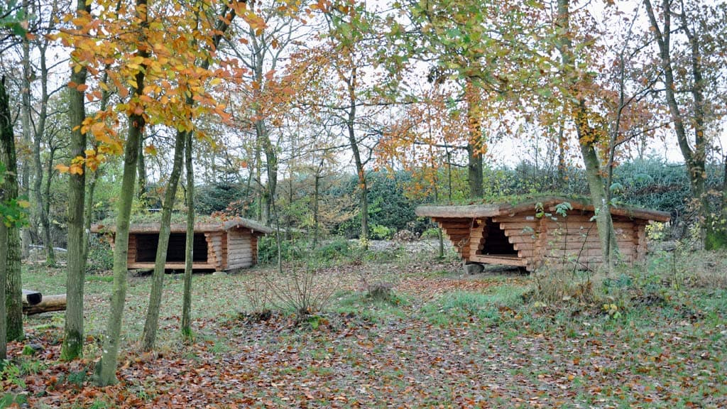 Handelshaus Bindeballe Købmandsgård